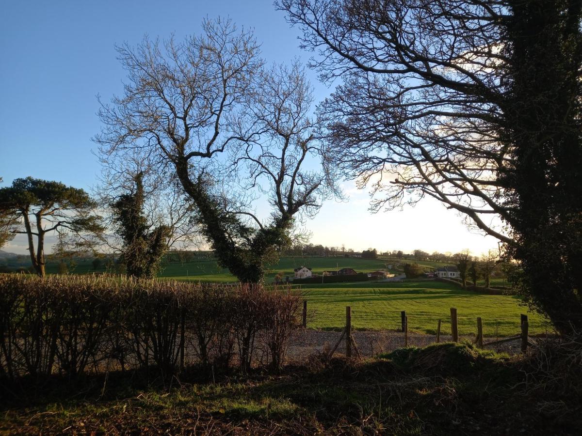 Bessbrook Derrywilligan Guest Accommodation מראה חיצוני תמונה